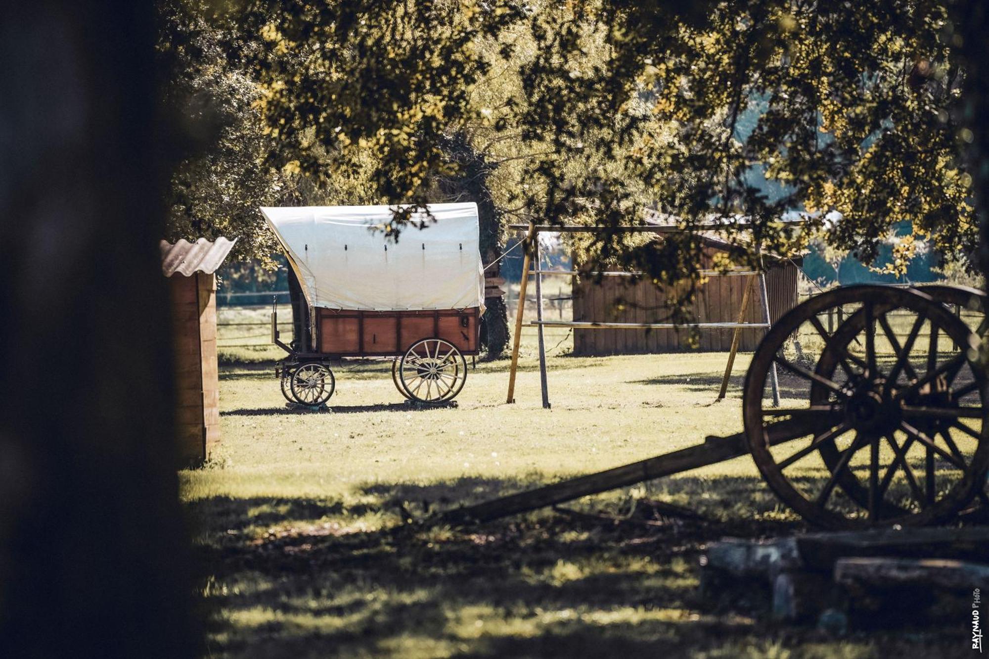 לינה וארוחת בוקר Saint-Paul-en-Born Le Ranch Amadeus מראה חיצוני תמונה